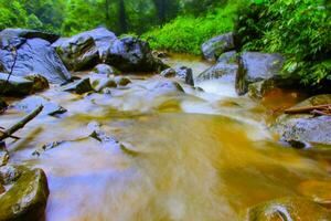 río en el bosque. corriente en el bosque. río en el trópico bosque foto