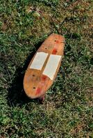 a skateboard laying on the grass photo