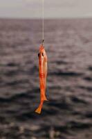 a fish is hanging from a fishing line photo