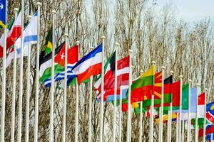 many flags are lined up in front of trees photo