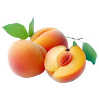abricot Frais abricot tranche de abricot png isolé abricot transparent Contexte ai généré