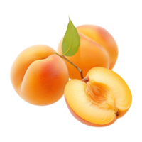 Aprikose frisch Aprikose Scheibe von Aprikose png isoliert Aprikose transparent Hintergrund ai generiert