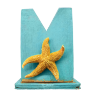 Orange starfish on turquoise shelf on isolated background. Summer, vacation, beach. Design element. Copy space png