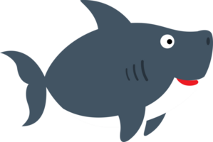 illustration cartoon shark png