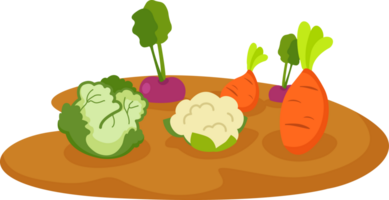 vegetables in garden png