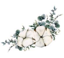 Baumwolle trocken Blumen und Eukalyptus Geäst Ecke Rahmen Illustration. Hand gezeichnet rustikal Karte zum Blumen- Hochzeit Designs png