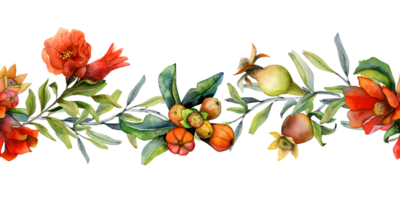 Pomegranate flowers and fruits on branches watercolor horizontal seamless banner. Botanical illustration for Rosh Hashanah, natural cosmetic design and web sites png