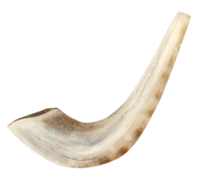 Small shofar from ram horn for Rosh Hashanah and Yom Kippur watercolor illustration. Jewish new year traditional symbol in realistic style png