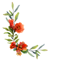 Aquarell Granatapfel Blumen Ecke Rahmen mit jung Früchte auf Geäst Illustration. botanisch Vorlage zum rosh hashanah Grüße, Etiketten, natürlich Kosmetika png
