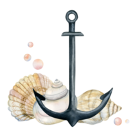 Grey stell anchor with seashells and underwater air bubbles watercolor illustration for nautical stickers design, party decorations, stationery png