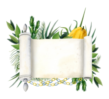 sucot bandera tempate con blanco Tora Desplazarse y símbolos acuarela ilustración. cuatro especies etrog fruta, hadass, lulav, aravá, mirto y sauce png