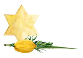 jewish symbolisk växter för sukkot Semester med gul guld stjärna av David vattenfärg illustration. fyra arter vide och myrten grenar, etrog citron frukt, handflatan ormbunksblad png