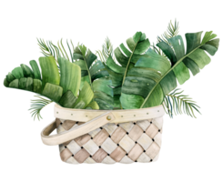 Watercolor tropical bouquet of palm and banana leaves in wicker basket botanical illustration for cards, stickers, floral shops and web design png