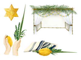 Sukkot symbols, sukkah, tallit, waving the Lulav and yellow gold star of David watercolor illustration set. Four species etrog, hadass, lulav, aravah or willow and myrtle branches, citron, palm leaf png