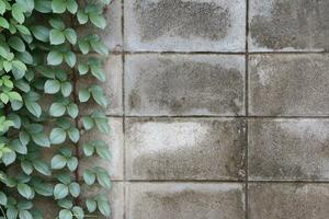 Wood and leaf texture background photo