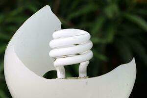 Broken and damaged white incandescent lamp, outdoors. photo