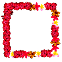 marco decoración con flor png