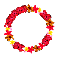 frame decoration with flower png