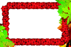 frame decoration with flower png