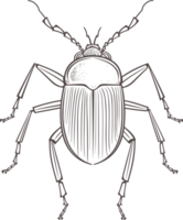 insecto Arte en negro y blanco ai generativo png