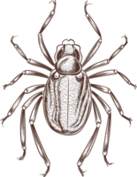 insecto Arte en negro y blanco ai generativo png