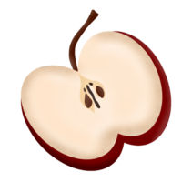 appel fruit handgemaakt schilderij png