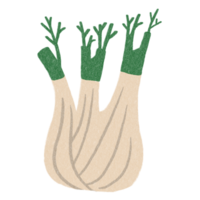 mat vegetabiliska fänkål illustration hand dragen dekorativ klotter png