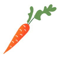 Food Vegetable Carrot Decoration Hand Drawn Illustration Doodles png