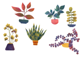 a set of watercolor house plants. clipart Flowers in a pot - stickers on a transparent background png