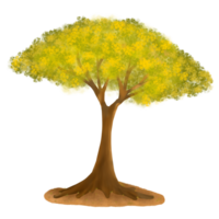 lindo árvore ilustração png