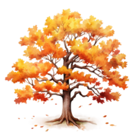 carvalho árvore outono árvore com folhas ai gerado png