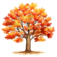 Oak tree, autumn tree isolated AI generated png