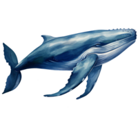 Blue whale watercolor illustration isolated AI generated png