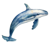 blauw walvis jumping waterverf illustratie geïsoleerd ai gegenereerd png