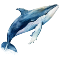 Blue whale closeup view watercolor illustration isolated AI generated png