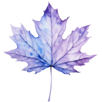 autumn purple watercolor maple leaf ai generated png