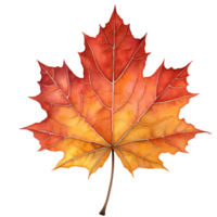 autumn maple leaf watercolor clipart isolated ai generated png