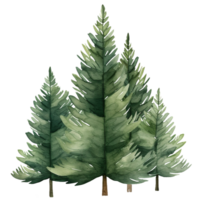 set of 3 green pine tree isolated, watercolor illustration  ai generated png