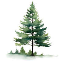 pine tree isolated watercolor ai generated png