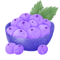 blueberry in the dark blue bowl illustration png
