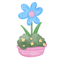 Cute blue flowers in a pink pot png