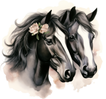 Black horse portrait isolated on transparent background. Watercolour illustration. png