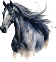 Black horse portrait isolated on transparent background. Watercolour illustration. png