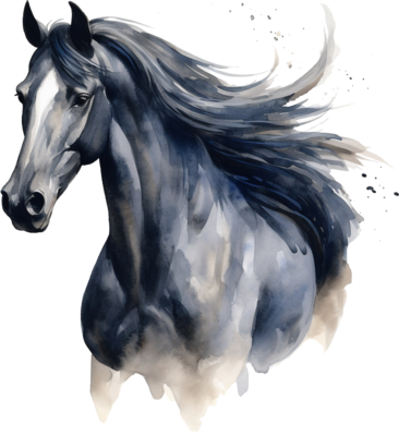 black-horse-portrait-isolated-on-transparent-background-watercolour-illustration-png.png