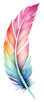 Beautiful watercolor bird feather png