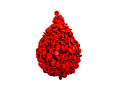 laissez tomber de rouge du sang cellules isolé 3d illustration png