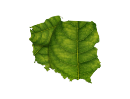 Poland map made of green leaves ecology concept png