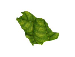 Saudi Arabia map made of green leaves ecology concept png