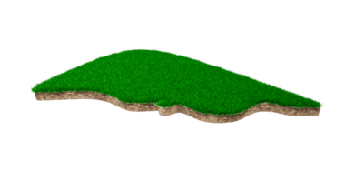 Liver shape made of green grass and Rock ground texture cross section with 3d illustration png