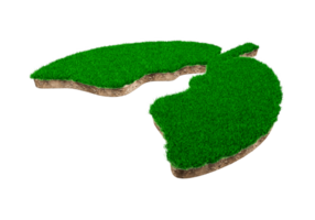 Lungs shape made of green grass and Rock ground texture cross section with 3d illustration png